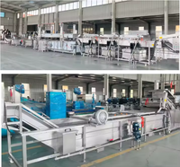 3 Ton/uur PLC-motor bevroren vruchten- en groenteproductielijn, hoogwaardige voedselveilige roestvrijstalen industriële bevroren apparatuur