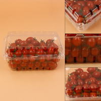 500g récipient alimentaire en plastique personnalisé fruits frais Punnet avec fraises bleuets cerises tomates boîte à clapet