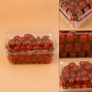 500g tùy chỉnh nhựa thực phẩm <span class=keywords><strong>container</strong></span> trái cây tươi punnet với dâu tây Quả Việt Quất Anh Đào cà chua hộp vỏ sò - Product Image 4