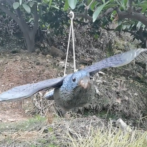 Señuelo Realista de Halcón Volador con Cuerpo Desmontable, Ligero, Disuasorio para Aves, Control de Plagas para Exteriores, Campos, Huertos y Jardines - Product Image 2