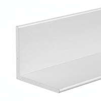 Perfil de PP Extruido para Protección de Esquinas de Pared y Protector de Esquinas de Pared, Venta Caliente, Grado Industrial