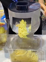 Hoge Efficiëntie Commerciële Multifunctionele Huishoudelijke Groente- en Fruitshredder/Salade Maker voor Aardappel, Komkommer en Wortel