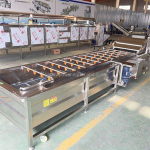 Wholesale Price Commercial Multi-function Fruit Meat Washing Cabbage Leafy <b>Vegetables</b> Melon Process Bubble <b>Washer</b> Machine - Product Image 5