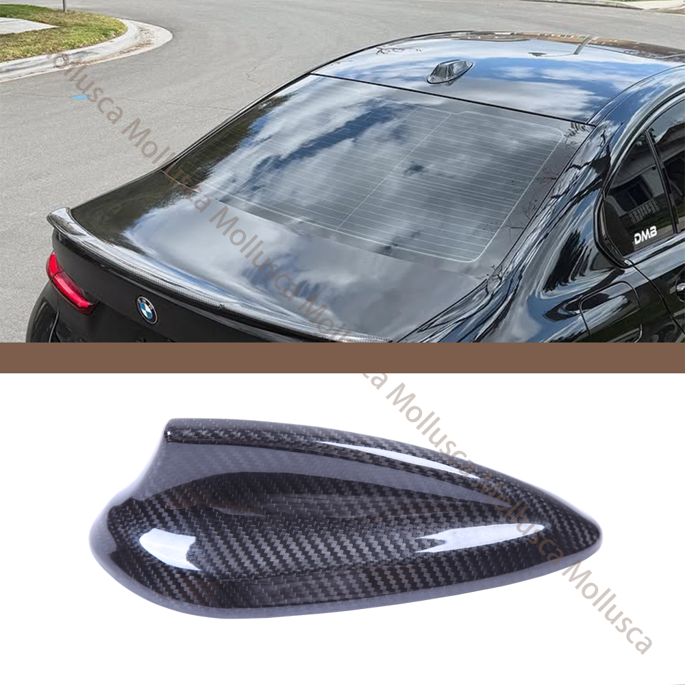 G20 Shark Fin