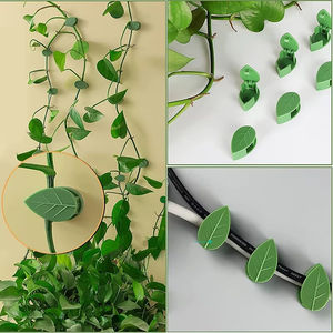Clips de fixation murale pour plantes grimpantes, supports de plantes vertes pour décoration murale - Product Image 6