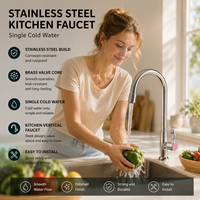 Robinet de cuisine moderne en acier inoxydable à eau froide, à poser sur comptoir, finition chromée, garantie 3 ans, pour hôtels et cuisines professionnelles