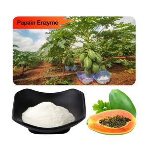 Et tenderizasyon doğal toptan fiyat Papaya esansı Papain enzim tozu - Product Image 2