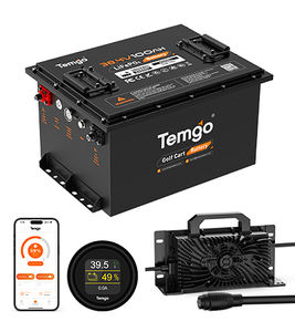 แบตเตอรี่ลิเธียมไอออน LiFePO4 สำหรับรถกอล์ฟ  48V 100Ah  ตัวเรือนโลหะ  สำหรับยานยนต์ไฟฟ้าความเร็วต่ำ - Product Image 6