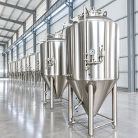 Cuve de Fermentation Conique en Acier Inoxydable Tonsen 1000L (10HL) avec Système de Refroidissement pour Microbrasserie