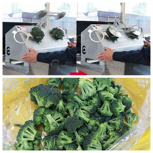 เครื่องตัดและแยกช่อบร็อคโคลี่กึ่งอัตโนมัติอุปกรณ์แปรรูปผัก304ความแม่นยำสูง - Product Image 4