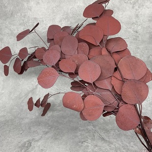 Venta al por mayor directa de fábrica, oferta para decoración de boda, plantas en conserva para siempre, follaje de <span class=keywords><strong>hojas</strong></span> de <span class=keywords><strong>eucalipto</strong></span> - Product Image 5