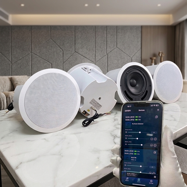 Mobile APP MUZO WIIM Control WIFI RGB Smart Ceiling Speaker 5.1 Channel Multi-room Cinema Speaker for Computer and TV