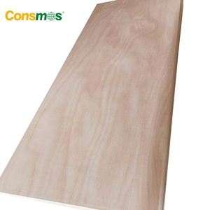 Okoume Abedul Nogal Chapa <span class=keywords><strong>Madera</strong></span> Contrachapada <span class=keywords><strong>Triplay</strong></span> <span class=keywords><strong>Madera</strong></span> Tropical Exportación A México - Product Image 1