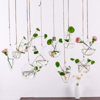 Vase suspendu en verre transparent, globe suspendu, terrarium pour décoration, vase de différentes formes