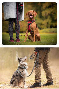 Truelove Großhandel No Pull Hunde halsband und Leine Set Luxus Hochwertiges Nylon gewebe Weiches Futter Verstellbares Haustier westen geschirr - Product Image 5