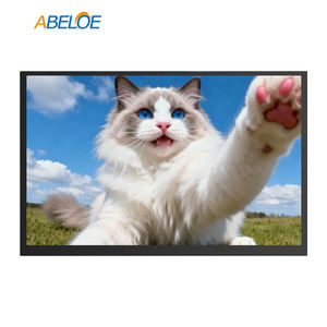 Módulo de pantalla LCD TFT industrial original Sharp LQ64D343 de 6,4 pulgadas VGA 640 × 480 TN 300nits TTL 31 pines - Product Image 1