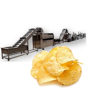 Machine de fabrication de frites et de chips pommes de terre, livraison gratuite, 1000 kg/h