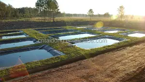 Doublure d'étang à crevettes en géomembrane HDPE 100% vierge étanche