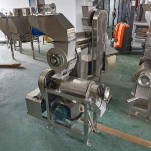 Extracteur de jus de pomme et de gingembre automatique à froid de 1 tonne en acier inoxydable 304 avec moteur 220/380V, machine à jus de fruits - Product Image 2