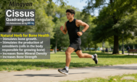 Capsules de Cissus Vegan OEM, compléments alimentaires naturels, Cissus Quadrangularis 5%, capsule pour les personnes d'âge moyen et les personnes âgées