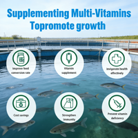 Vitamine C antioxydante (acide aminé) en gros pour l'alimentation des poissons – Vitamines de qualité pour favoriser une croissance saine des crevettes et des poissons-chats en aquaculture