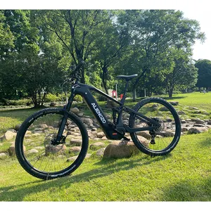 Bafang 750/1000w Motoren Elektro fahrräder E-Bike Mid Dengfu E06 Kohle faser Mountainbike Voll federung Dreirad rahmen