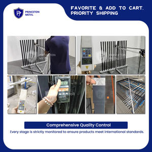 Clôture en aluminium de protection de <span class=keywords><strong>maison</strong></span> côtière en métal Princeton, résistante aux jets de sel, structure solide - Product Image 6