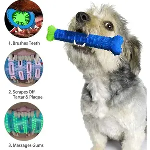 Wholesale Pet Teeth Cleaning Dental Hygiene Bone Shape Rubber Dog Toothbrush Chew Toy