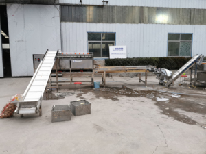 저렴한 가격 냉동 감자 튀김 생산 공장 감자 페이스트 기계 희게하는 기계 곱슬 튀김 기계 - Product Image 6