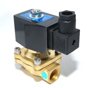 Pirinç alaşım solenoit valf normalde kapalı Z101 2 yollu diyafram elektrikli su vakum hava bobin 12V 24V dc 110V 220V ac