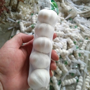 Aglio fresco bianco puro prezzo all'ingrosso a buon mercato in <span class=keywords><strong>vendita</strong></span> aglio cinese con borsa a rete 3P 4P 5P 6P 7P - Product Image 5