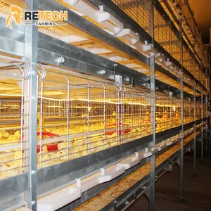 RETECH Automatic Broiler Chicken Raising Cage Manufacturer for large scale poultry farm
