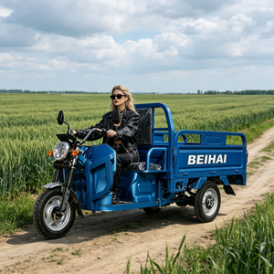 2026 BEIHAI Three Wheeled Supercar Cheap Mini 60V 2000W Scooter 3 Wheel <b>Passenger</b> Tricycles for Adults - Product Image 3