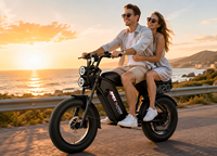 Vélo électrique tout-terrain 20 pouces à gros pneus, moteur 750W, freins à disque doubles, pour adultes