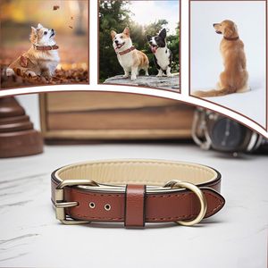 ปลอกคอสุนัขหนังปรับได้พร้อมโลโก้สั่งทำขายส่ง - Product Image 3