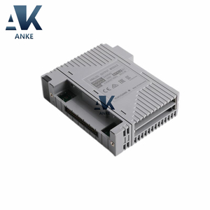 โมดูลเอาต์พุตอะนาล็อก Yokogawa S1 AAI543-S50 - Product Image 2