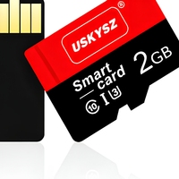 Kartu Memori OEM ODM 256GB TF Card Logo Kustom Grosir Kecepatan Tinggi Layanan Pabrik Mitra Terpercaya untuk Sumber Daya Global