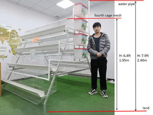 Venta caliente Q 235 Acero eran un tipo 3 o 4 niveles 5000 gallinas capa jaula de pollo Adecuado para granja de pollos - Product Image 6