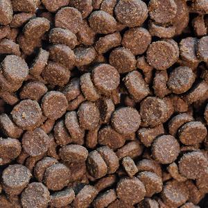 Ração Seca Premium Multi-Sabor para Gatos e Cães |   Preços de Atacado, Nutrição Balanceada para Animais de Estimação Saudáveis - Product Image 3