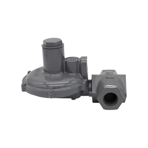 Régulateur de gaz à ressort de capacité Amco Fiorentini - Product Image 6
