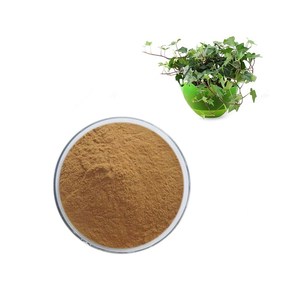Nhà Máy Giá thiên nhiên tinh khiết <span class=keywords><strong>Ivy</strong></span> lá chiết xuất bột <span class=keywords><strong>Ivy</strong></span> chiết xuất - Product Image 5