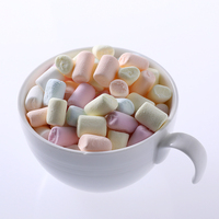 Nouvelle forme de pastèque 2g bonbons à la guimauve douce colorée