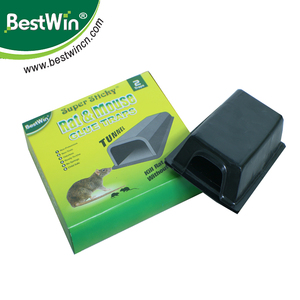<span class=keywords><strong>Plaque</strong></span> autocollante en plastique <span class=keywords><strong>pour</strong></span> souris, piège à <span class=keywords><strong>colle</strong></span> <span class=keywords><strong>pour</strong></span> souris, <span class=keywords><strong>rat</strong></span>, répulsif <span class=keywords><strong>pour</strong></span> rongeurs - Product Image 2