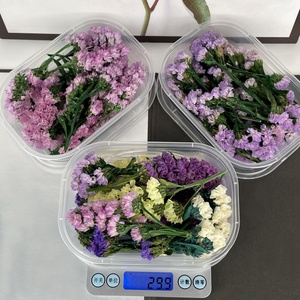 天然干花忘了我不要花幼儿园装饰剪贴簿芳香扩散器杯填充物DIY工艺套装 - Product Image 5