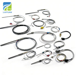 Sonde de <span class=keywords><strong>thermocouple</strong></span> de <span class=keywords><strong>type</strong></span> <span class=keywords><strong>J</strong></span> fabriquée en Chine par Laiyuan, capteur de <span class=keywords><strong>thermocouple</strong></span> industriel de <span class=keywords><strong>type</strong></span> <span class=keywords><strong>J</strong></span>, 23°C à 500°C - Product Image 4