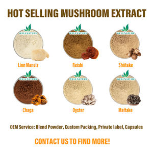 مسحوق خلاصة الفطر العضوي المختلط بدرجة غذائية: ريشي، شيتاكي، تشاغا، ذيل الديك الرومي، فطر عرف الأسد، درام - Product Image 3