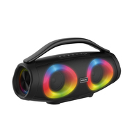 BKK / OEM Enceinte portable 60W IPX6 avec microphone sans fil USB/AUX, lumière LED RGB en plastique pour fête en extérieur, Boombox