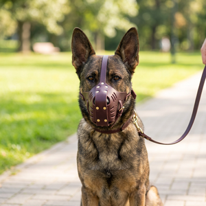 Bozal de Cuero Personalizado para Perros, Marca Privada, OEM ODM, Transpirable, de Piel de Vaca, Máscara de Seguridad para Mascotas, Compra al por Mayor, Equipo de Protección Resistente para <span class=keywords><strong>Akita</strong></span> - Product Image 1