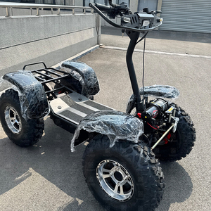 Scooter électrique tout-terrain robuste pour usage agricole, avec moteur brushless 6000W, batterie lithium <span class=keywords><strong>50</strong></span> Ah et pneus robustes. - Product Image 2