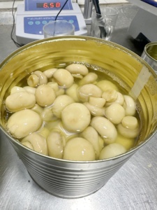 280g đóng hộp toàn bộ champignon nấm trong lọ thủy tinh - Product Image 2